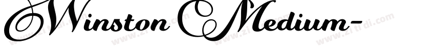 Winston Medium字体转换